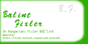 balint fixler business card